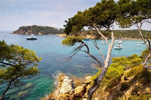 Miscellaneous - Stopover in Toulon • Cosy, quiet & conveniently located (Toulon)