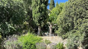 A stone bridge over a water feature with a waterfall, surrounded by greenery and trees. - Charming mansion (Toulon)