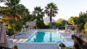 Un área de piscina con sillones de descanso, palmeras y una montaña al fondo.