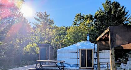 Ace Mongolian Yurt