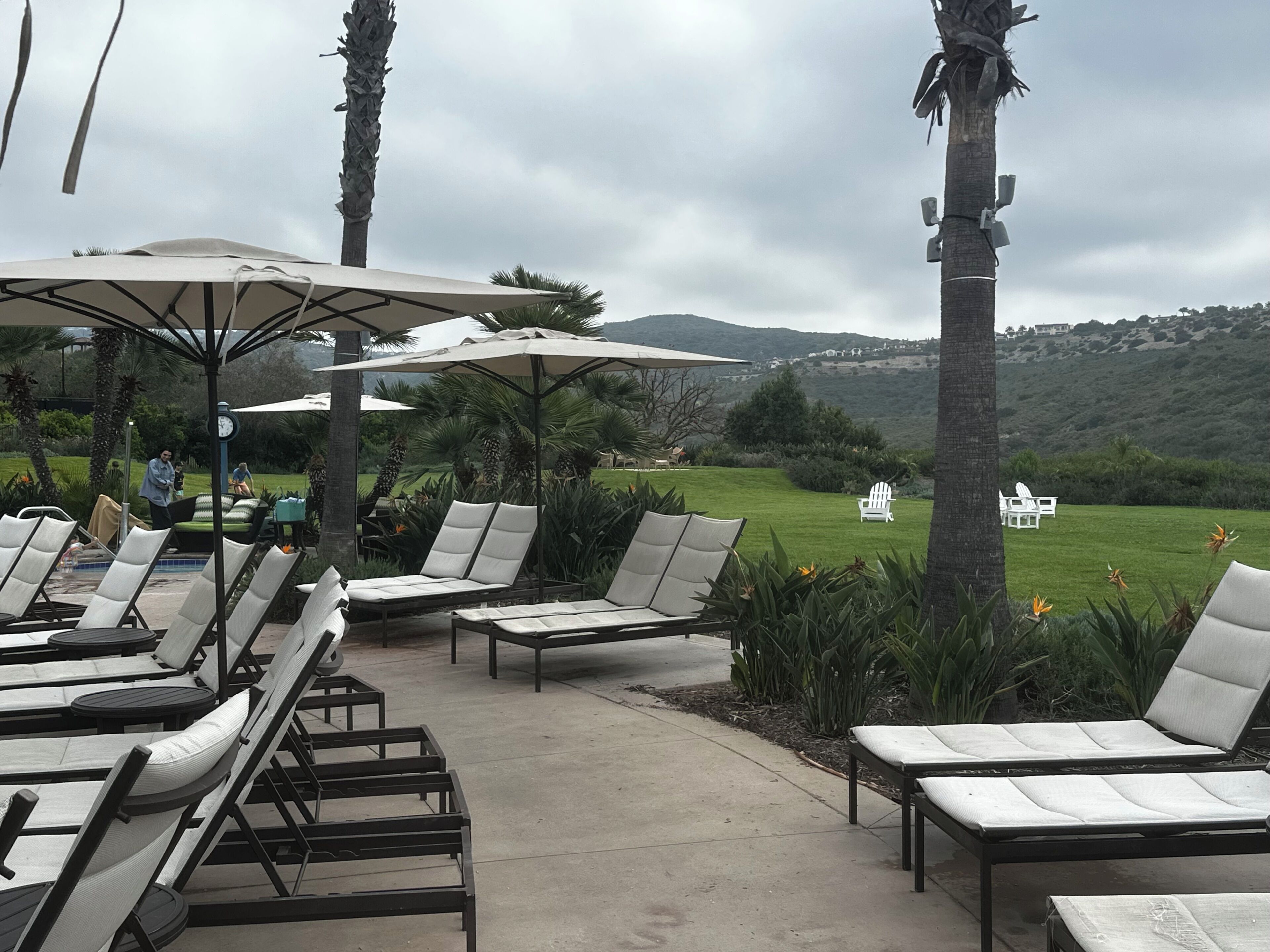 Sillones de exterior, sombrillas y vistas a un campo de golf.