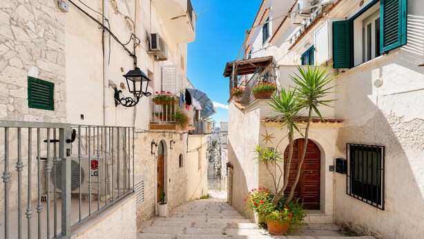 A narrow stone staircase leading to a building with a red door, white walls, and green shutters. - Apartment 'Venti Nodi' with Balcony, Wi-Fi and Air Conditioning (Vieste)