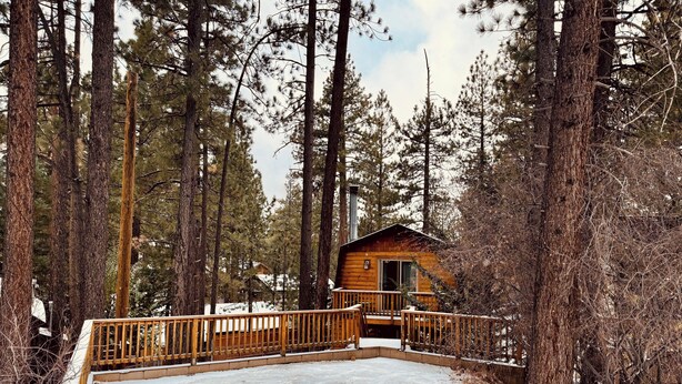 Une cabane entourée de grands pins, dotée d’une terrasse en bois et bordée de neige.