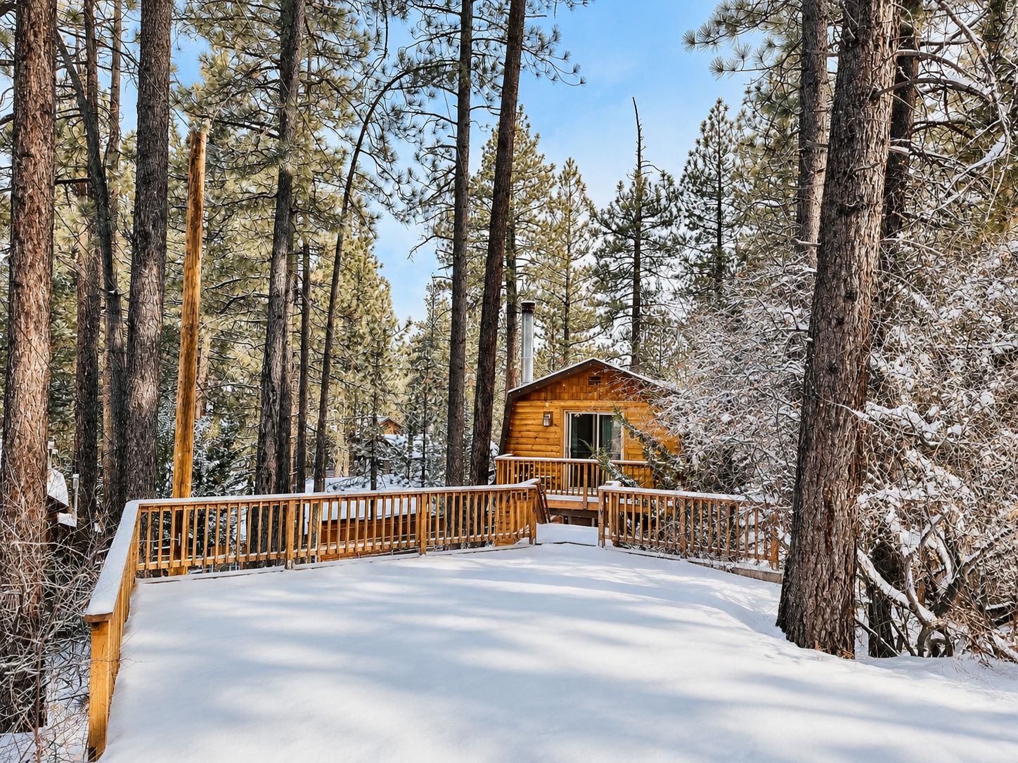 A wooden cabin surrounded by tall pine trees in a snowy forest.