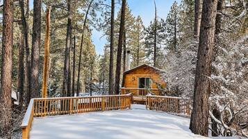 A wooden cabin surrounded by tall pine trees in a snowy forest.