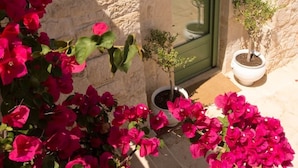A stone building with a green door, potted plants, and vibrant pink flowers. - Monte Olimpo 5 (Alberobello)