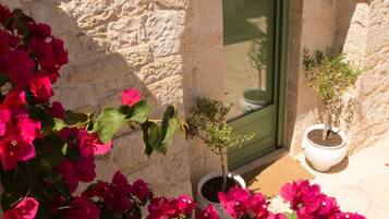 Detalle exterior