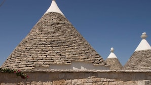 A stone building with a green door, a stone archway, and potted plants. - Monte Olimpo 5 (Alberobello)