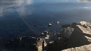 A calm lake with a rocky shoreline and distant mountains under a partly cloudy sky. - Serenity.  So peaceful! .A place to retreat on kootenay lake (Ainsworth)