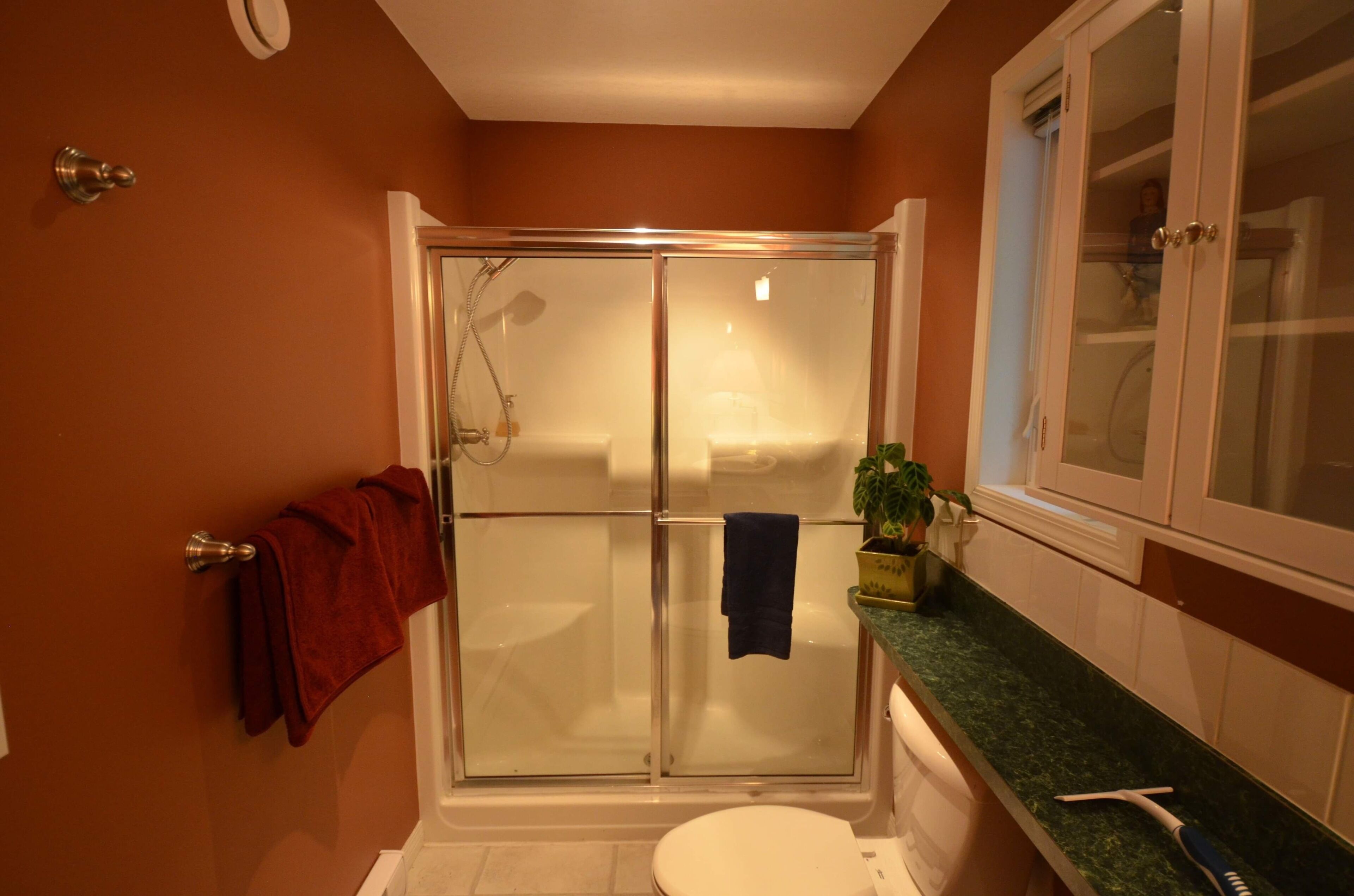 A bathroom with a glass-enclosed shower, a white toilet, and a green countertop.
