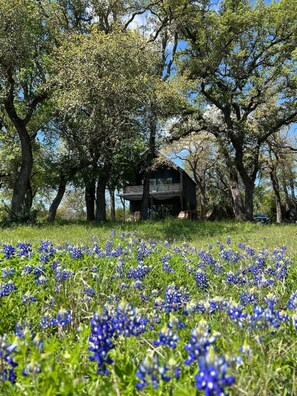 Property grounds - Hill Country Hammock Lodge (Round Mountain)