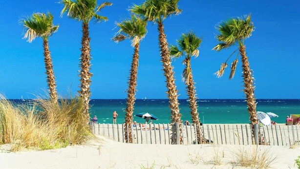 A beach with tall palm trees, a wooden fence, and a clear blue sky. - Air-conditioned house for 6 with supervised swimming pool, Walking distance to beach and port, Terrace (Saint-Cyprien)