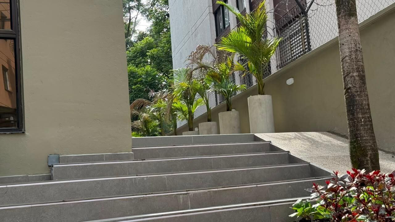 A set of concrete steps leading up to a building entrance, surrounded by greenery and a palm tree.