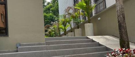 A set of concrete steps leading up to a building entrance, surrounded by greenery and a palm tree.