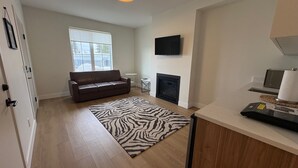 Una sala de estar moderna con un sofá, una chimenea, un televisor y una alfombra con estampado de cebra.