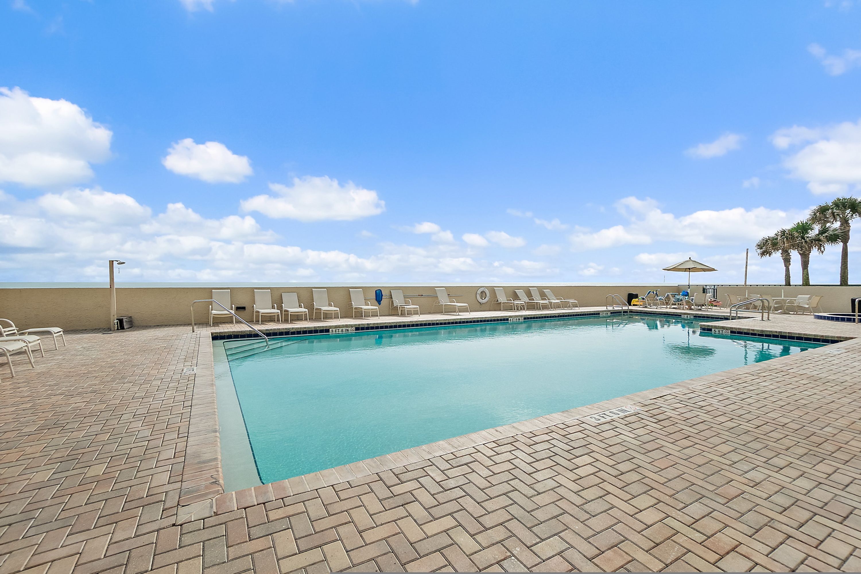 A swimming pool with a tiled deck, lounge chairs, and a palm tree in the background.