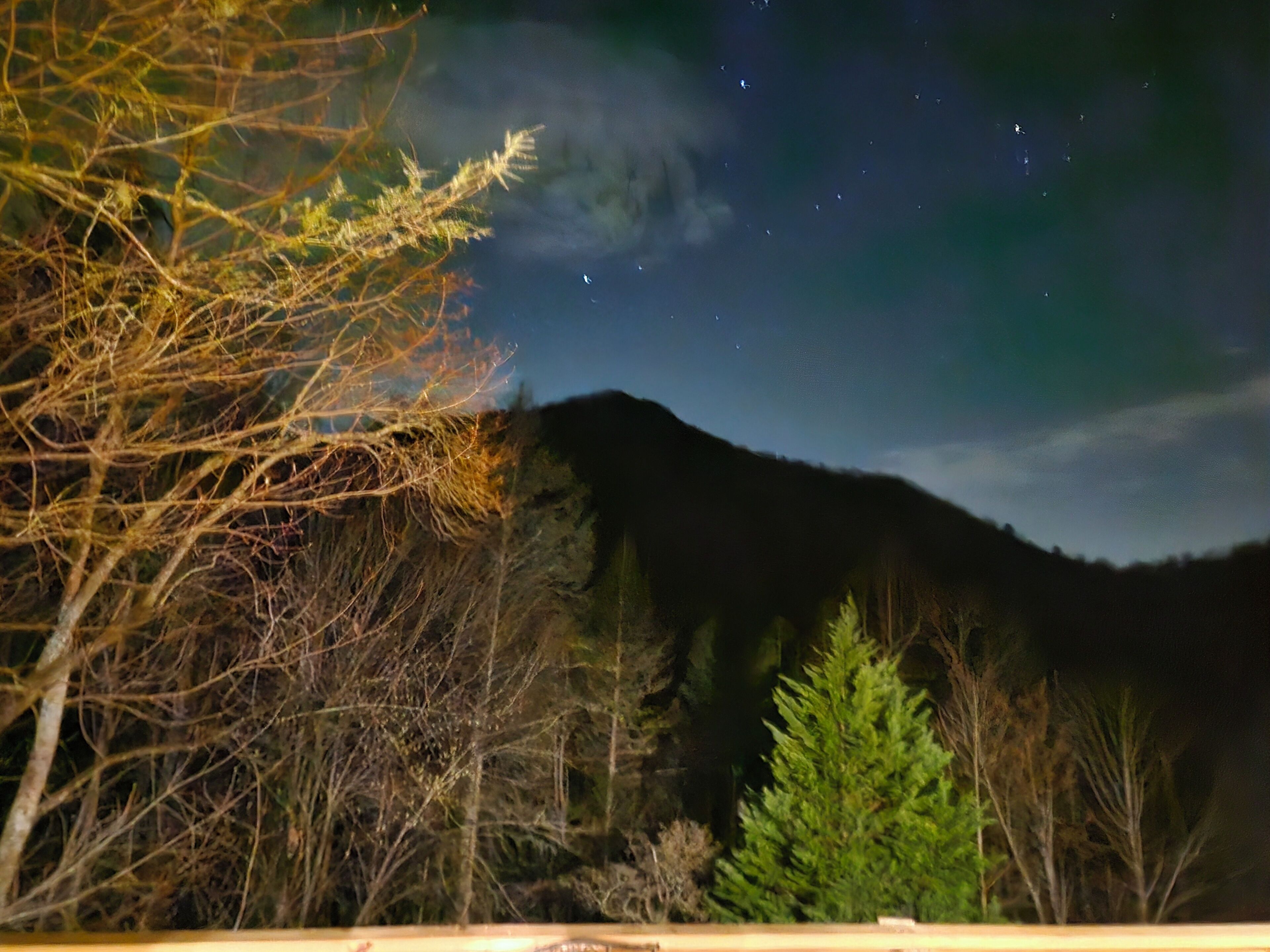 Una vista notturna di un paesaggio montuoso con alberi e cielo sereno.