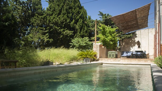 Una piscina con agua cristalina, rodeada de vegetación y una zona de patio con sombra.