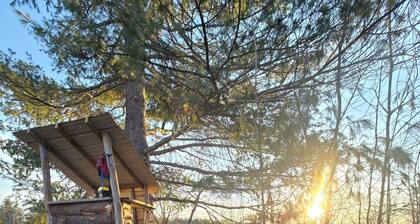 Private camground with cabin and spots for 3-4 tents