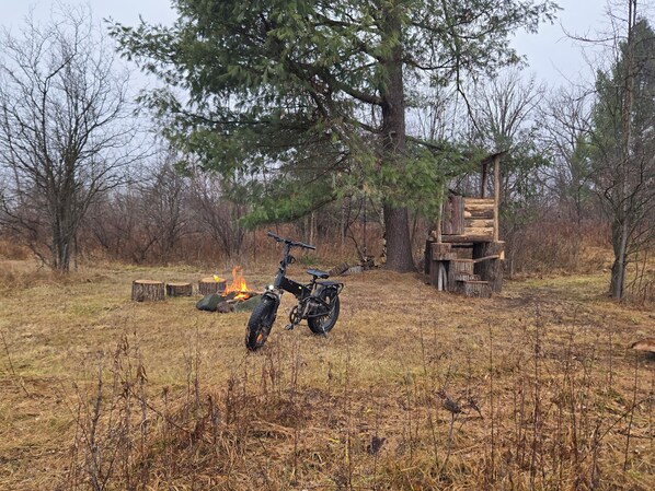 A dirt path, a fire pit, and a tree in a forested area.