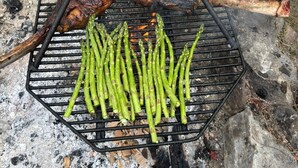 A grill with meat and asparagus. - Private camground with cabin and spots for 3-4 tents (Beaverton)