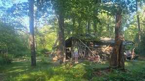 A rustic cabin surrounded by dense forest, with a bicycle and a truck nearby. - Private camground with cabin and spots for 3-4 tents (Beaverton)