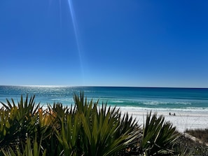 A beach with clear blue sky, ocean, and green vegetation in the foreground. - Diamonds on the Water- Luxury 16th-Floor Gulf Views (Santa Rosa Beach)