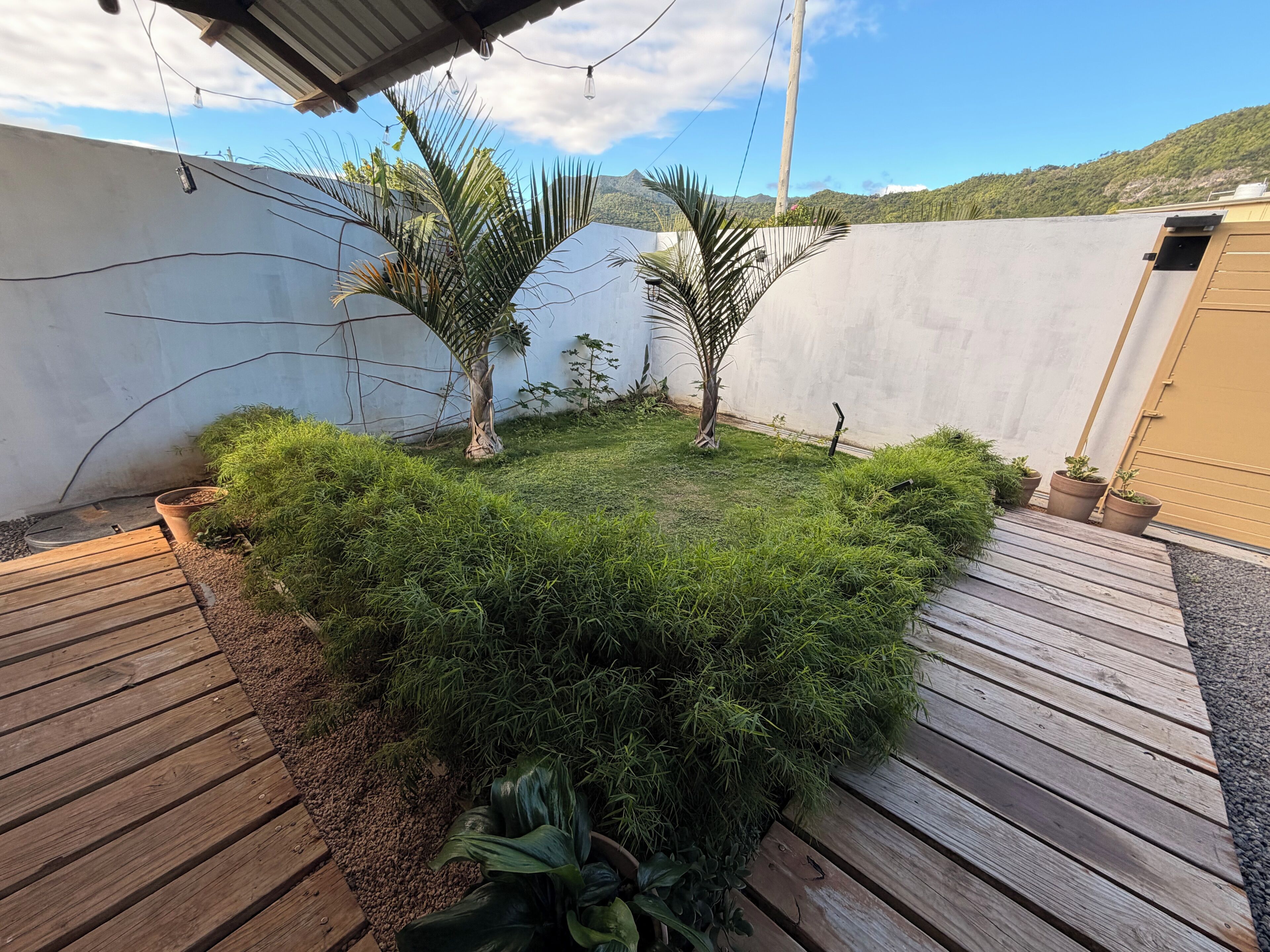 Un'area giardino con un deck in legno, piante in vaso e un muro bianco.