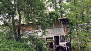 Uma caminhão grande e abandonado em uma área arborizada.