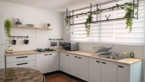 Eine moderne Küche mit weißen Schränken, einem Gasherd, einem Toaster und einer hängenden Pflanze.