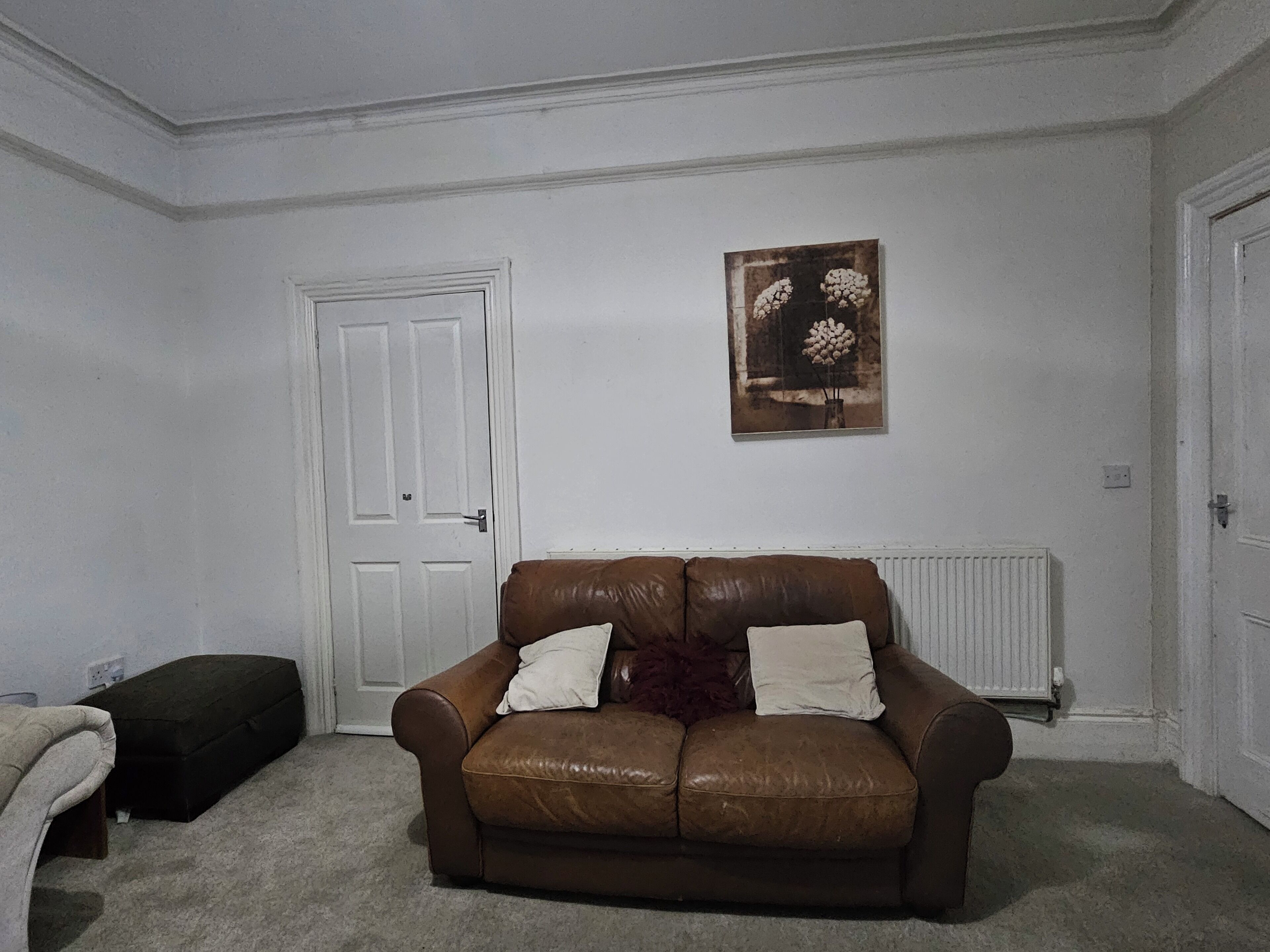 Une pièce avec un canapé en cuir marron, une porte blanche, un radiateur et un tableau encadré accroché au mur.