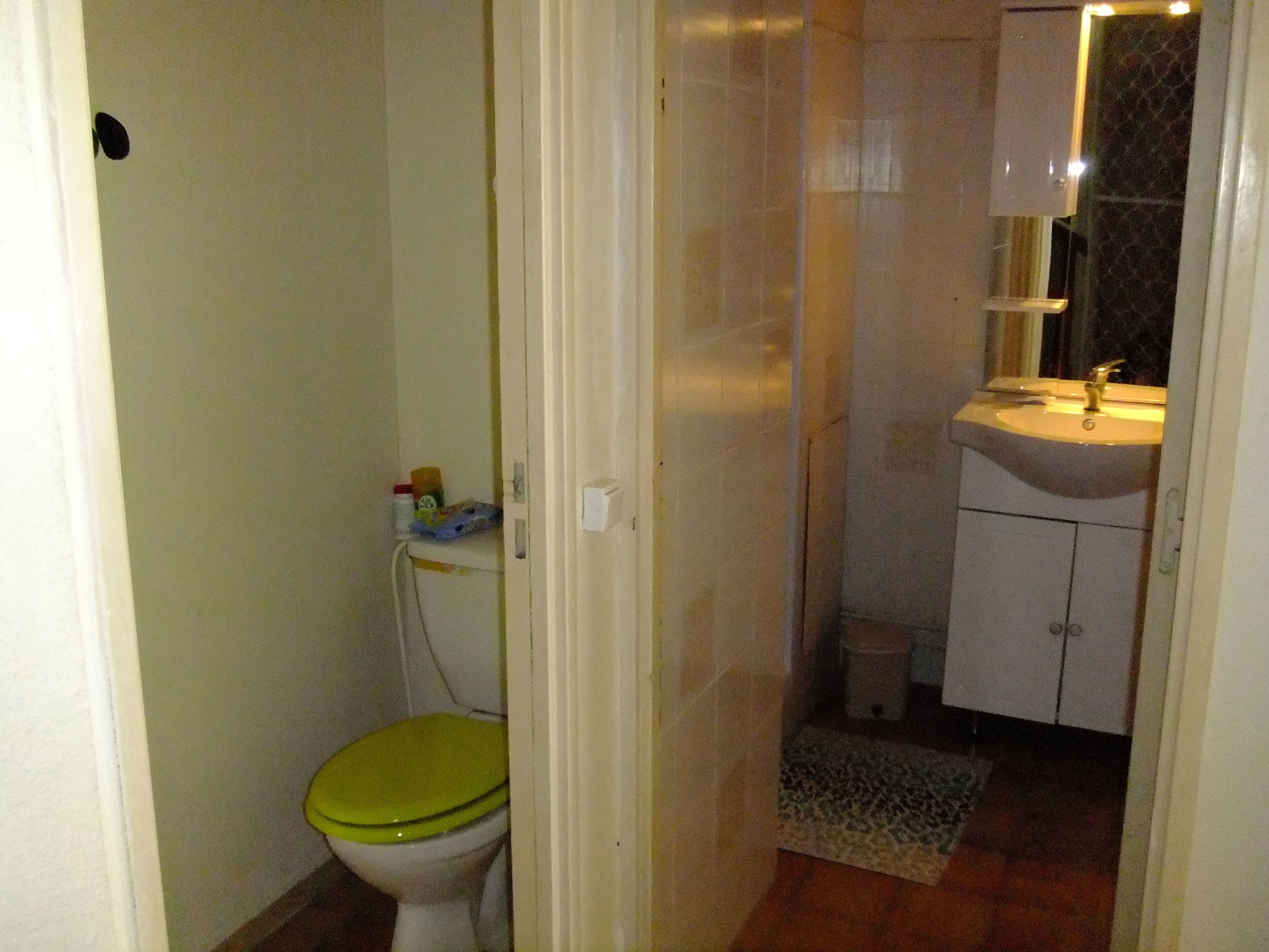 Une salle de bain avec des toilettes, un lavabo et un miroir.