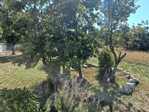 Un espace extérieur naturel agrémenté d’arbres, de rochers et d’herbe.