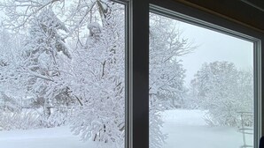 Schneegekübelte Landschaft durch ein Fenster, mit kahlen Bäumen und freiem Blick auf die Umgebung.