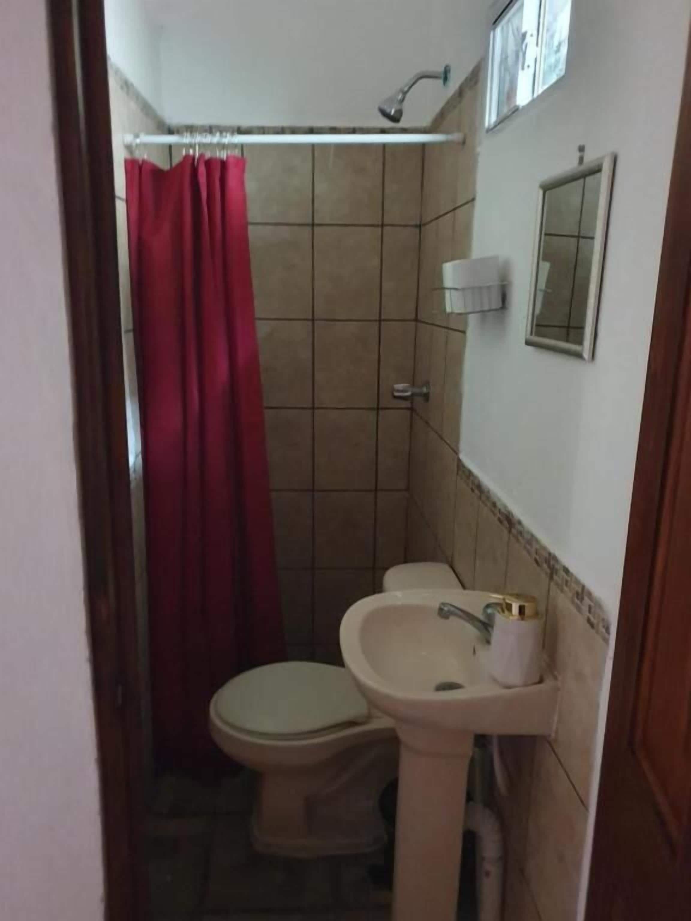 Ducha, jabón, shampoo, papel higiénico