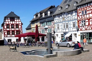Severdighet