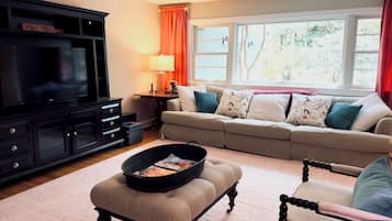 Smart TV, fireplace, books