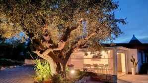 Un arbre, avec un espace extérieur bien éclairé où l’on peut s’asseoir, un chemin en pierre et un bâtiment surmonté d’un toit conique.