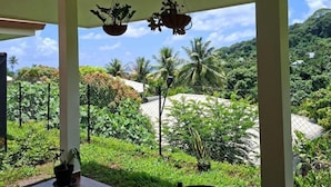 A covered outdoor area with hanging planters, a view of lush greenery and palm trees, and a clear sky. - Bungalow Hoarai Uturoa (Uturoa)