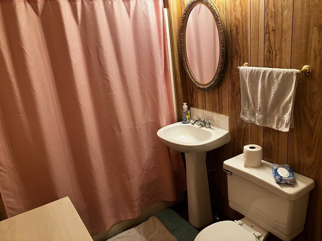 Sèche-cheveux, serviettes fournies, savon, papier toilette