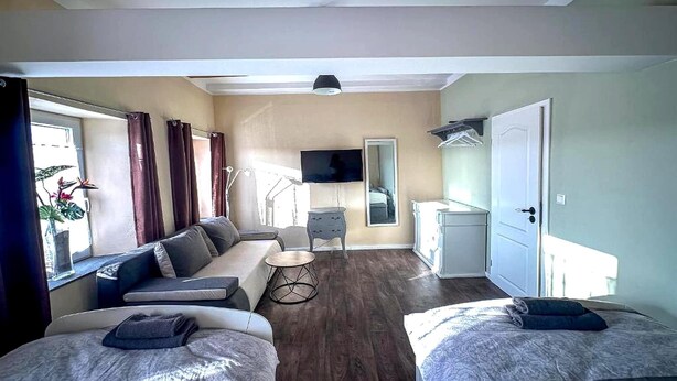 A room with a sofa, two beds, a TV, a small table, and a mirror. - Holiday Home in Konz (Konz)