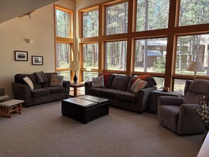 Smart TV, fireplace, DVD player, books