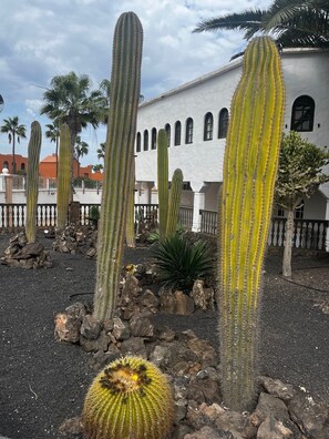 Property grounds - Susana - cozy  1-bedroom apartment in charming Corralejo perfect for relaxing (Corralejo)