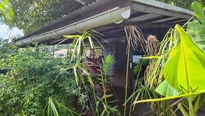 A wooden structure with a metal gutter, surrounded by dense tropical foliage. - Maison Ylang avec Bungalow Uturoa (Raiatea)