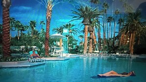 A swimming pool with palm trees and a person lying on a lounge chair. - Las Vegas Luxury suite with Jacuzzi, Pools, Free Parking, Walking to the strip (Las Vegas)