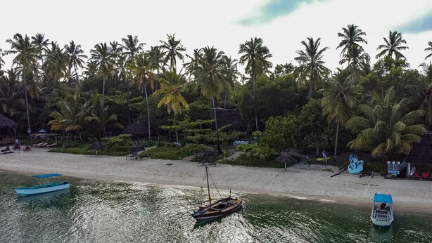 A beach with palm trees, a sandy shore, and boats. - Afro Beach Safari (Mafia Island)