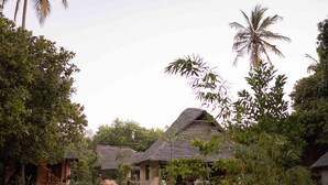 A pathway leading to a row of thatched-roof cottages surrounded by lush greenery and palm trees. - Afro Beach Safari (Mafia Island)