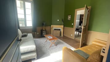 Smart TV, fireplace, books