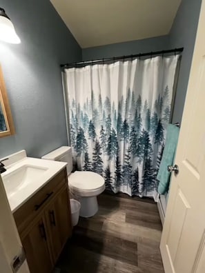Hair dryer, towels, soap, toilet paper