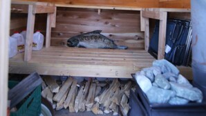 Interior de uma cabana de madeira com um peixe no chão, prateleiras de madeira e uma lareira.